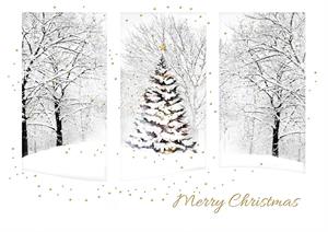 H08626 In the Starlight Christmas Cards 7 7/8