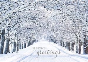 H08659 Crystal Lane Holiday Cards 7 7/8