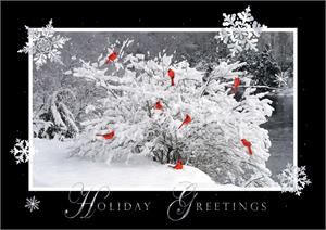 H08662 Riverfront Rest Holiday Cards 7 7/8