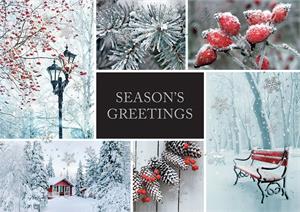 H08664 Winter Charm Holiday Cards 7 7/8