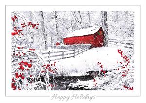 H08667 Winter Wonder Holiday Cards 7 7/8