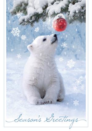 H08673 Beary Amused Holiday Cards 5 5/8