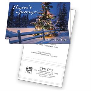 HP13322 - N3322 Splendorous Gift Christmas Coupon Cards 7 7/8 x 5 5/8