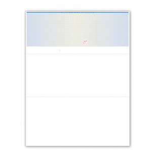 Blank Check Stock