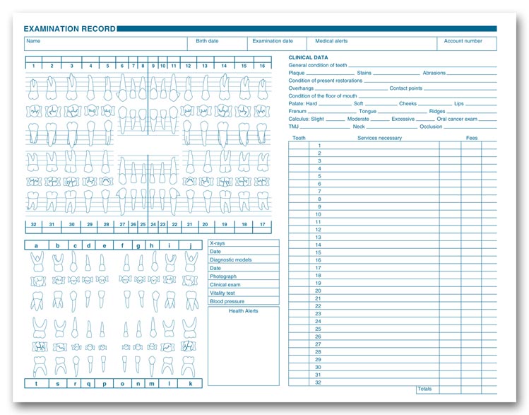 1057 Dental Exam Record Anatomic & Periodontic Diagrams 11 x 8 1/2"