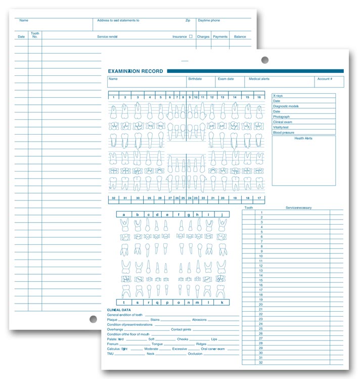 1057V Dental Exam Record Anatomic...