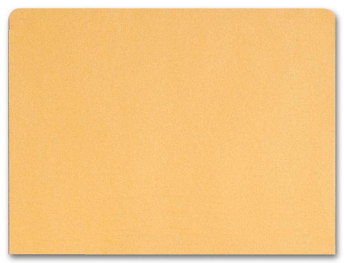 1076 File Pocket Envelopes 40lb Kraft Non-Printed 11 3/4 x 8 11/16"