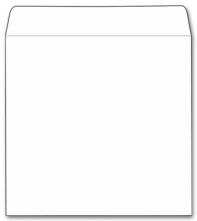 109371 Wall Calendar Mailing Envelopes...