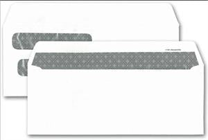 111041N Double Window Envelope