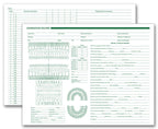 20097 Dental Exam Record Horizontal Format 11 x 8 1/2"