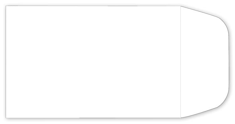 20161 Drug Envelope 2 1/4 x 3 1/2"