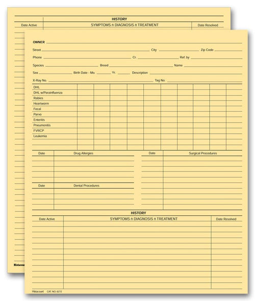 20967 Vet Animal History Exam Records Two Sided Card File Fold 8 x 9 1/2"