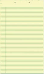 21127 Columnar Work Sheets 8 1/2 x 14"