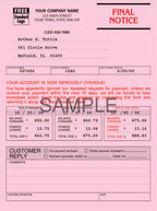 4504 Collection Systems One Write 6 3/8 x 8 1/2"