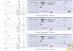 53225DS - 53225HS High Security 3-On-A-Page Business Size Checks with Choice of Voucher 12 15/16 x 9"