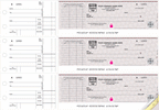 53225DS - 53225HS High Security 3-On-A-Page Business Size Checks with Choice of Voucher 12 15/16 x 9"