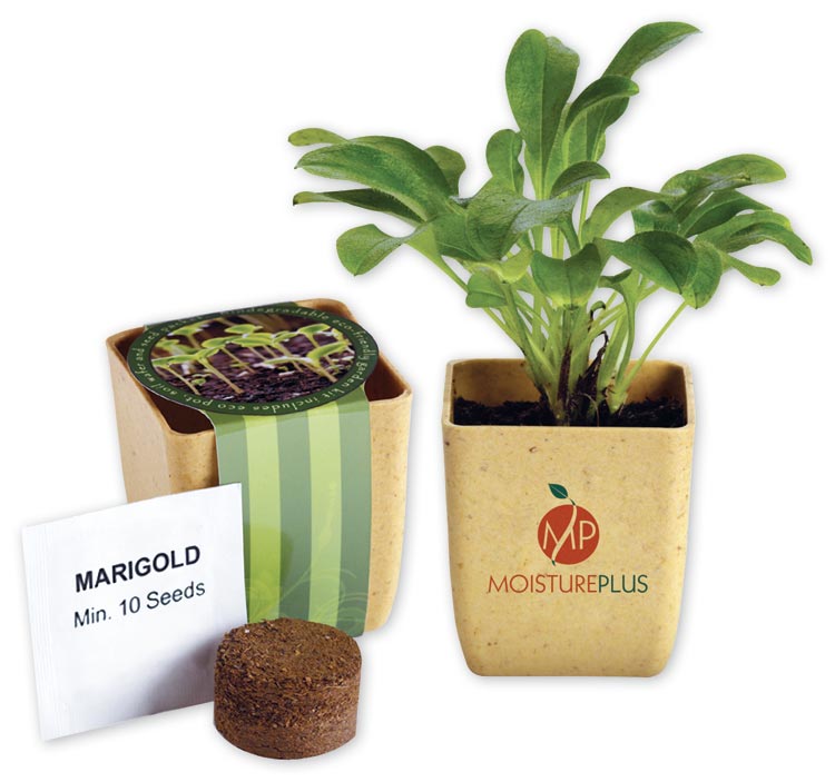 765719 Flower Pot Set With...