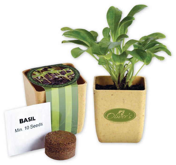 765720 Flower Pot Set With...