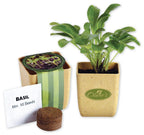 765720 Flower Pot Set With Basil Seeds 2 1/8 x 2 1/2"