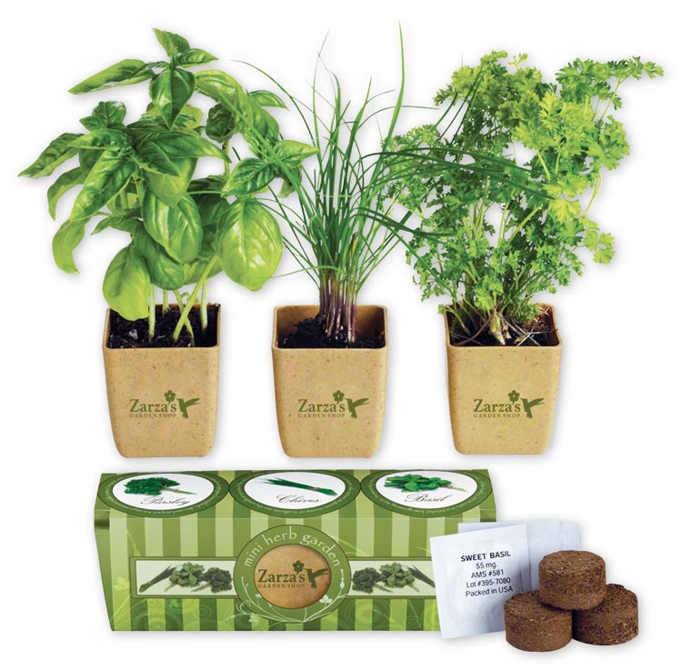 765722 Growpot Eco-Planter Herb 3-Pack...