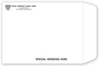 789 Tyvek Mailing Envelope 10 x 13"