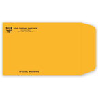 794 Kraft Mailing Envelope 6 x 9"
