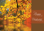 D2155 Autumn Reflection Thanksgiving Holiday Cards 7 7/8 x 5 5/8"