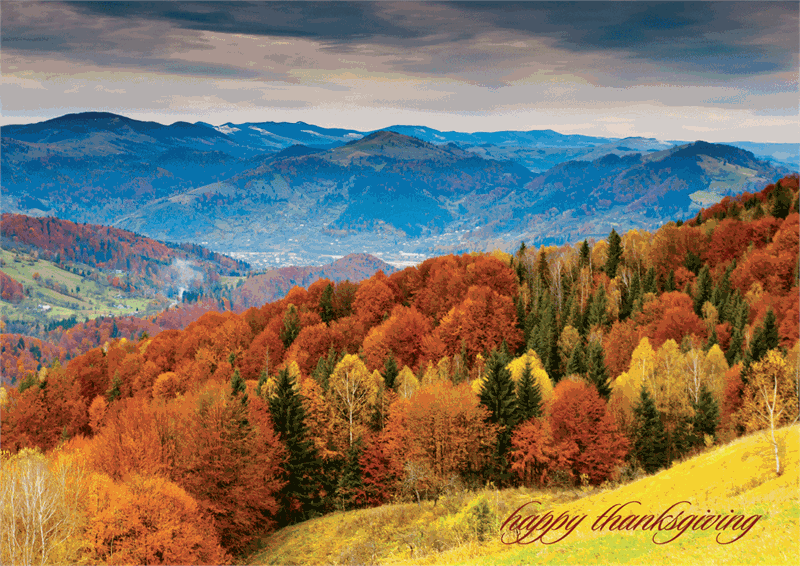 D2423 Glorious View! Mountain Top...