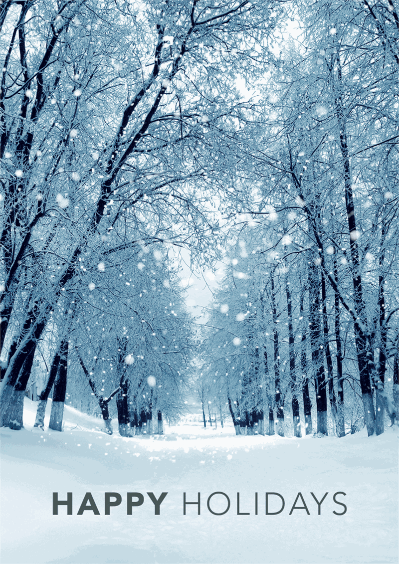 D2549 Snowy Winter Path Holiday...