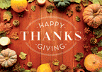 D2613 Rustic Bounty Thanksgiving Holiday Greeting Cards 7 7/8 x 5 5/8"