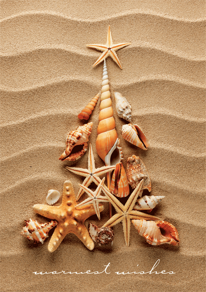 D2655 Waves of Warm Wishes...