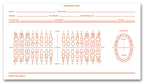 D86C Dental Exam Record Slips Numbered Teeth System C 3 1/2 x 6"