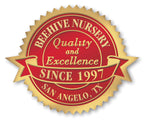 FDS55 Fossler Digital Anniversary Seal DS-55 1 7/8 x 1 1/2"