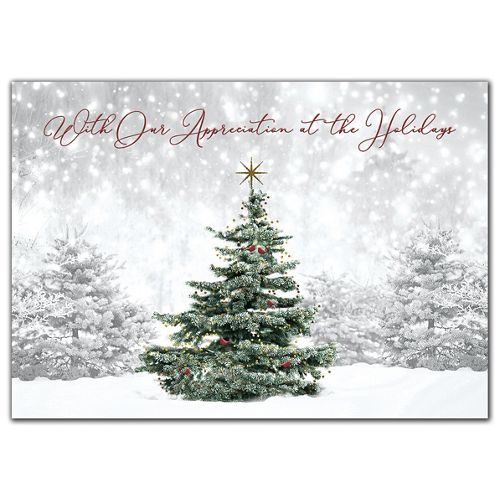 HP09304 Spruced Up Holiday Cards...