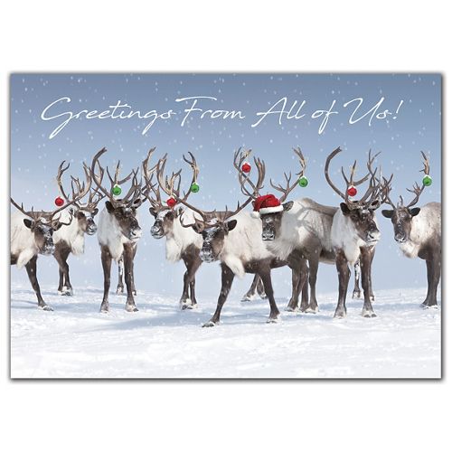 HP09308 Antler Chandelier Holiday Cards...