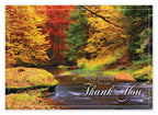 HP14319 - N4319 Splashes of Color Thanksgiving Cards 7 7/8 x 5 5/8"