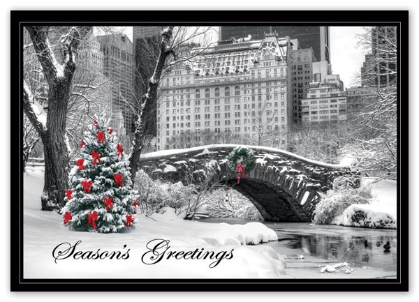 HP15308 - N5308 City Snow...