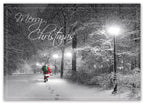 HP15311 - NN5311 Special Delivery Christmas Cards 7 7/8 x 5 5/8"