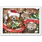 HV09808 Beary Bunch Holiday Cards 7 x 5"