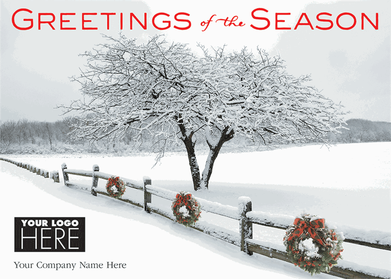 MT15001 Winter's Appearance Holiday Cards...