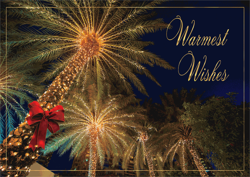 HP17304 - N7304 Tropical Wishes...