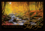 HP17306 - N7306 Radiant Thanks Thanksgiving Cards 7 7/8 x 5 5/8"