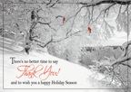 HP17313 - N7313 Glorious Thanks Holiday Cards 7 7/8 x 5 5/8"