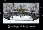 HP17321 - N7321 Forest Park Holiday Cards 7 7/8 x 5 5/8"
