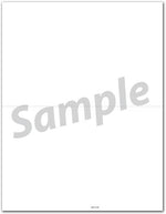 NE5108B 1099 NEC 2-Up Blank Backer No Stub - Bulk 8 1/2 x 11