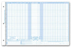 P407 Daily Control Sheets Pegmaster Check Cash 11 X 17"