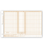 P607 Daily Control Sheets Pegmaster Payment 11 X 17"