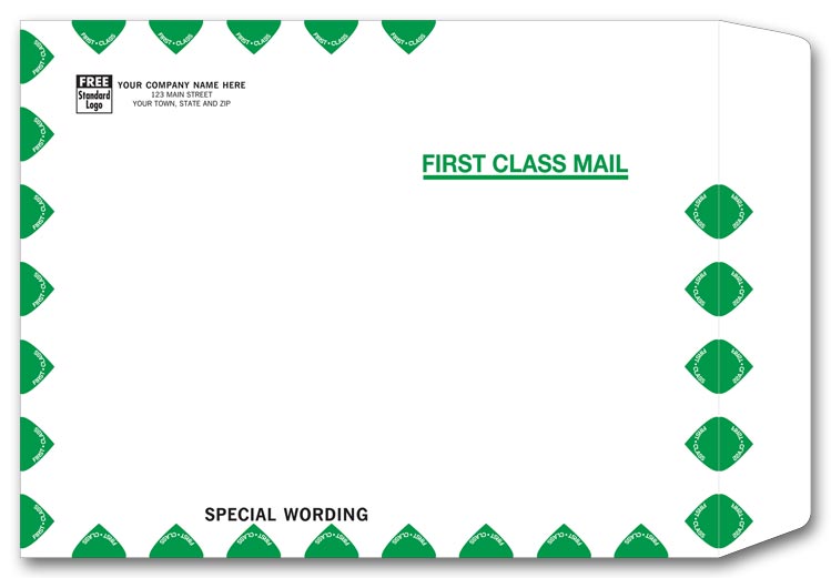 TF1013 Tyvek First Class Mailing...
