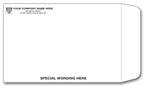 TP0069 White Tyvek Envelope 6 x 9"