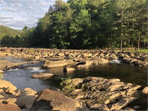 Ocoee